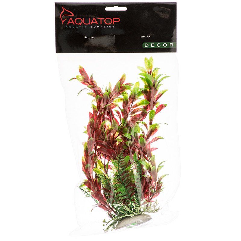 Aquatop Hygro Aquarium Plant - Red & Green image 0