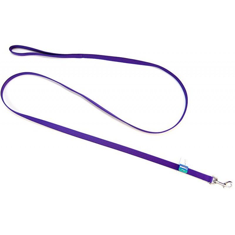 Coastal Pet Nylon Lead - Purple image 0