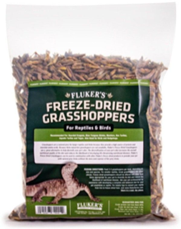 Flukers Freeze-Dried Grasshoppers image 0
