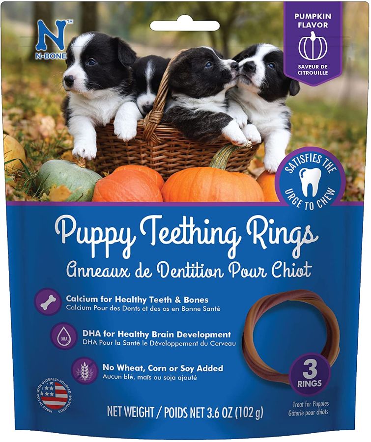 N-Bone Puppy Teething Ring - Pumpkin Flavor image 0