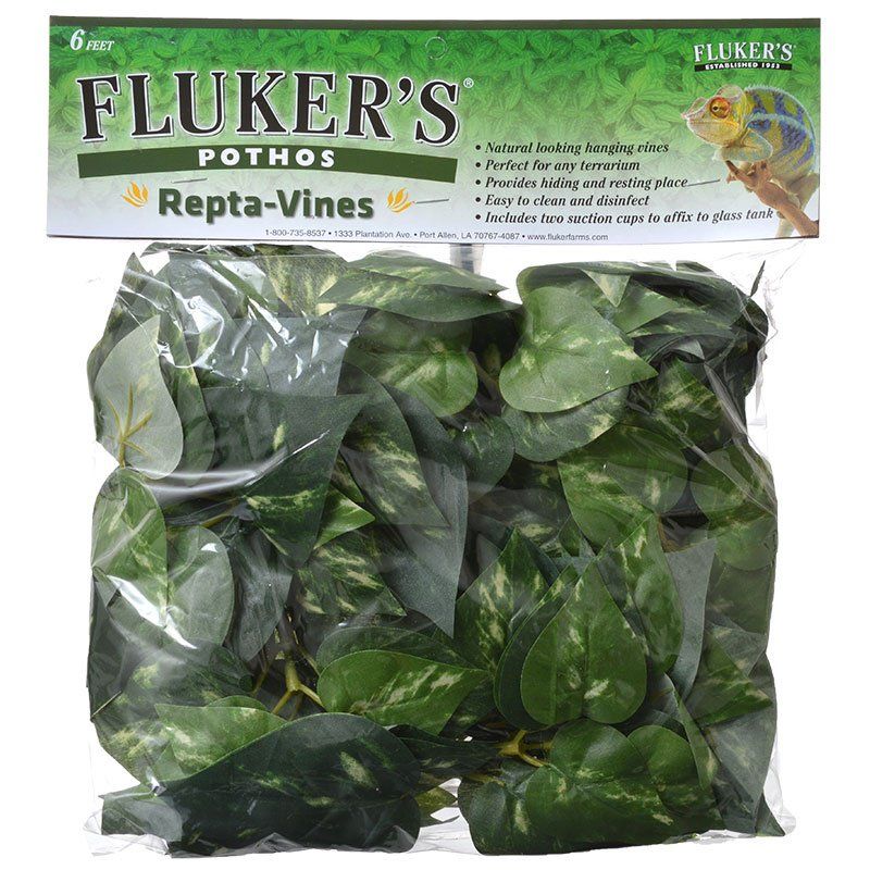Flukers Pothos Repta-Vines image 0