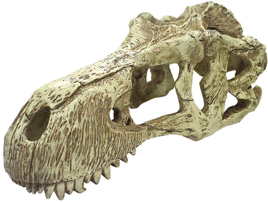 Komodo T-Rex Skull Terrarium Decoration image 0