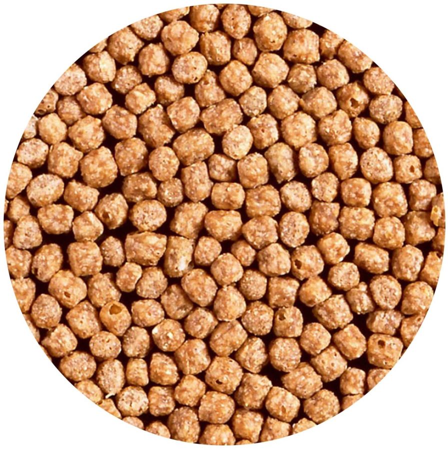 Hikari Goldfish Wheat Germ Mini Pellet image 0