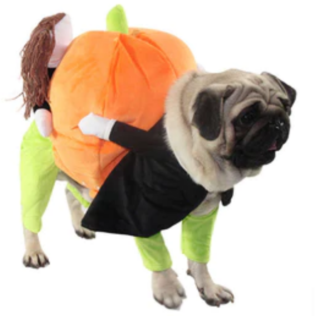 Pet Life 'Pumpkin Mon' Halloween Pet Dog Costume image 0