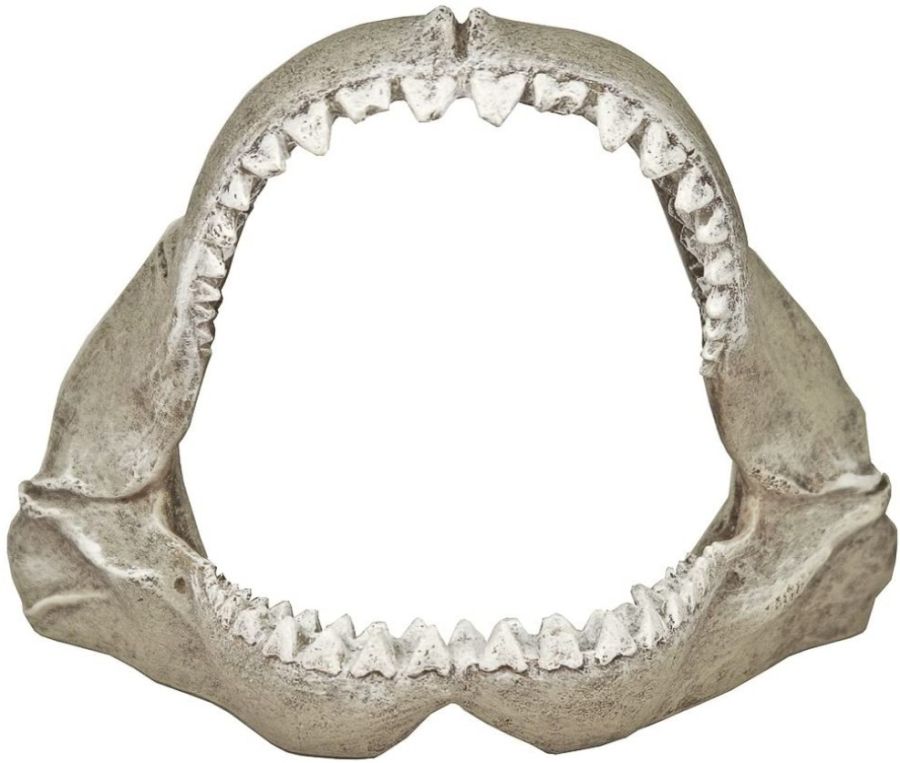 Blue Ribbon Great White Shark Jaws Ornament image 0