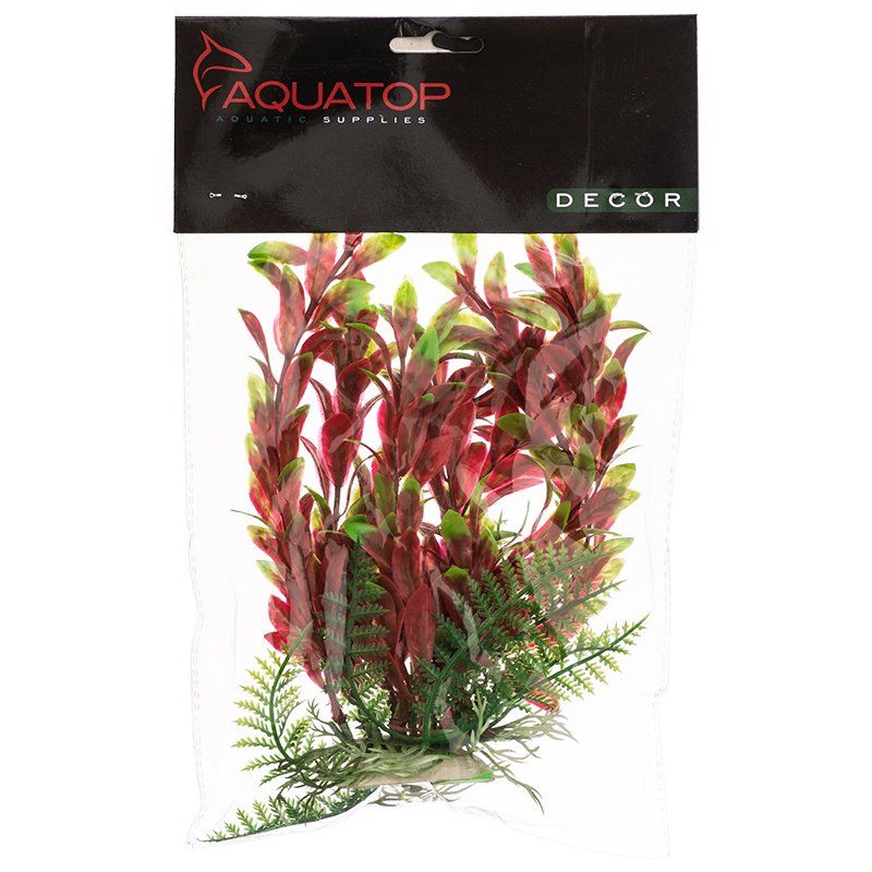 Aquatop Hygro Aquarium Plant - Red & Green image 0