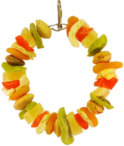 AE Cage Company Happy Beaks Deluxe Fruit Ring Tropical Delight image 0