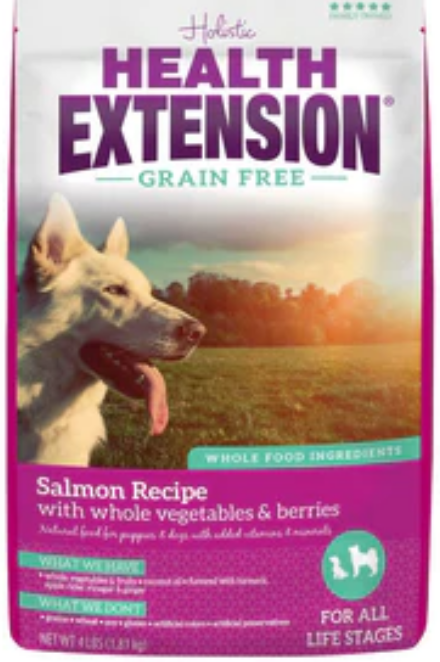 Health Extension Grain Free Salmon Recipe Dry Dog Food image 0