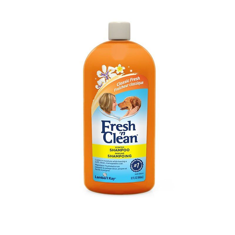 Fresh 'n Clean Scented Shampoo with Protein - Fresh Clean Scent image 0