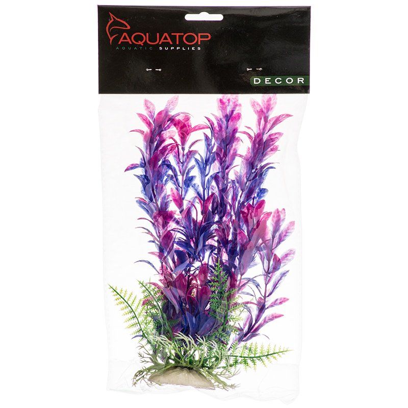 Aquatop Hygro Aquarium Plant - Pink & Purple image 0