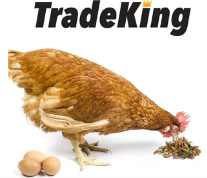 Tradeking Dried Mealworms Wild Bird Food - 11 Lb image 0