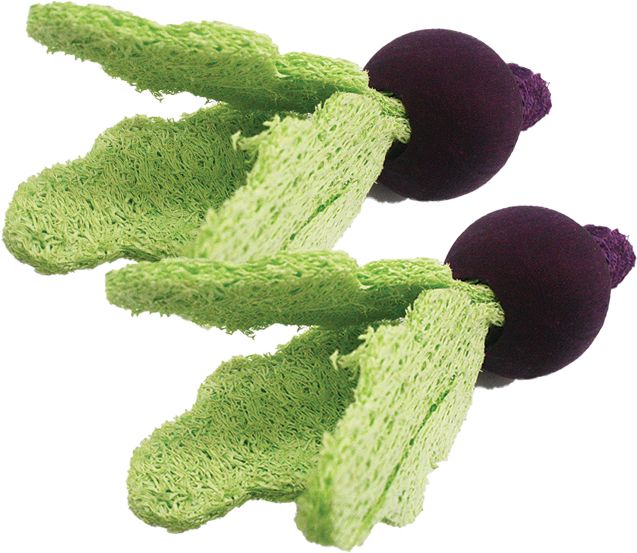 AE Cage Company Nibbles Turnip Loofah Chew Toys with Wood image 0