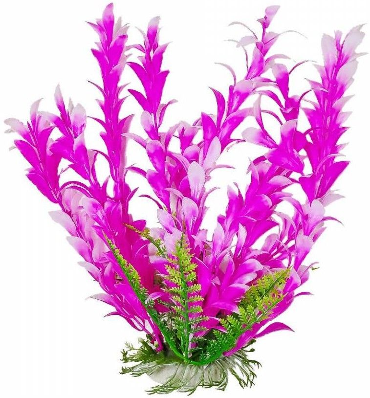 Aquatop Bacopa Aquarium Plant - Pink & White image 0