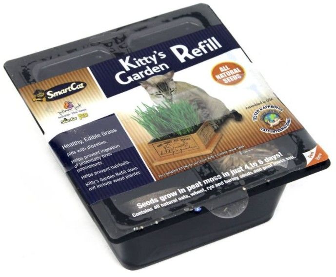 Pioneer Pet Kitty Garden Refill image 0