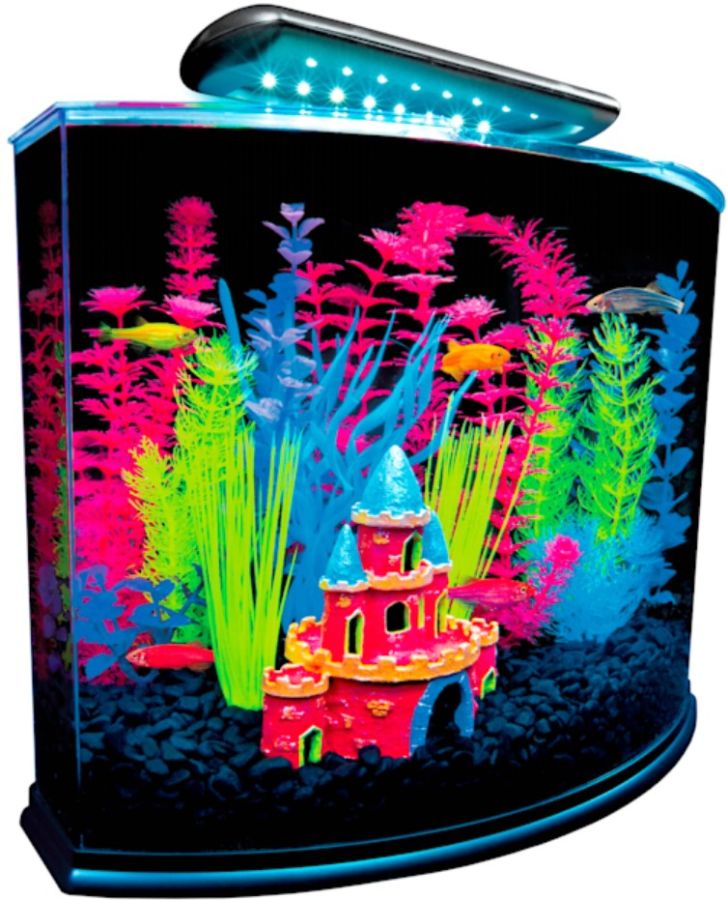 GloFish Aquarium Kit with LED Lighting image 0