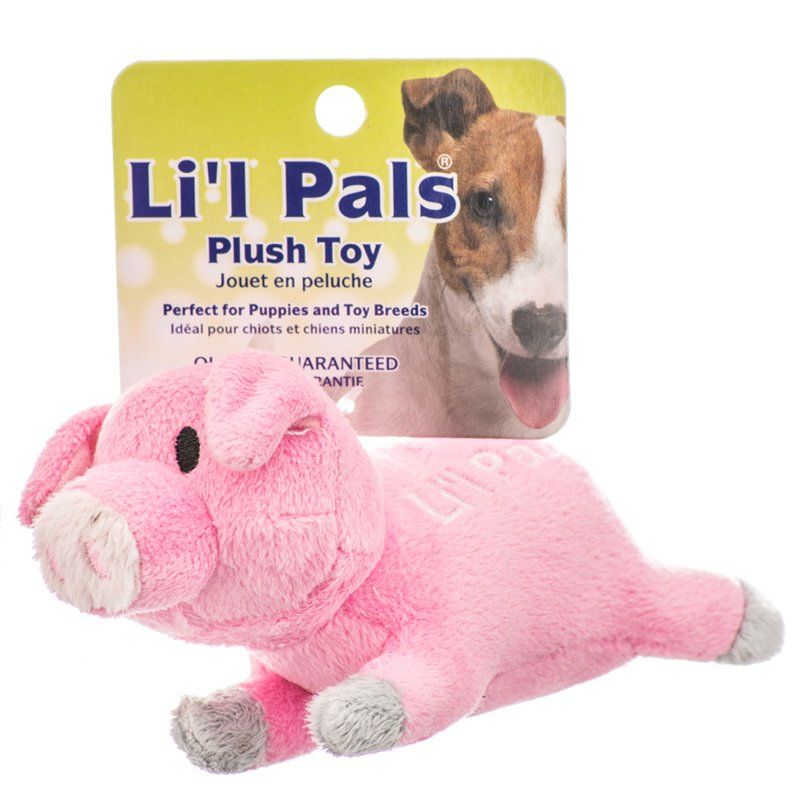 Lil Pals Ultra Soft Plush Dog Toy - Pig image 0
