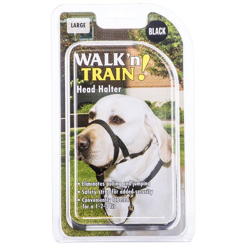 Coastal Pet Walk'n Train Head Halter image 0