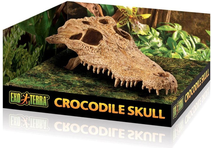Exo Terra Terrarium Crocodile Skull Decoration image 0