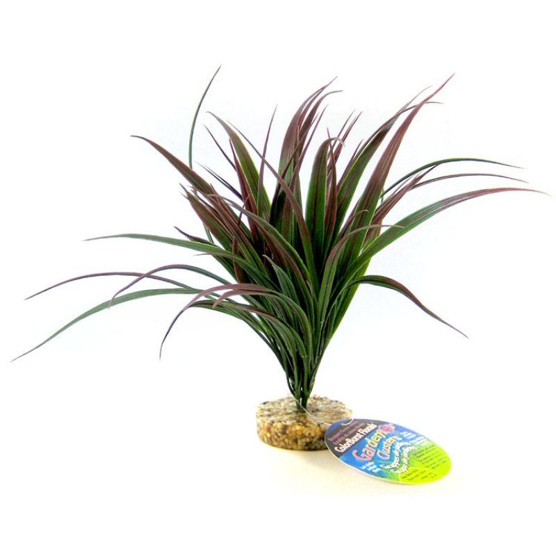 Blue Ribbon Amazonian Plant with Gravel Base Plum image 0