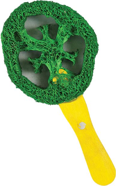 AE Cage Company Nibbles Lollipop Loofah Chew Toy image 0