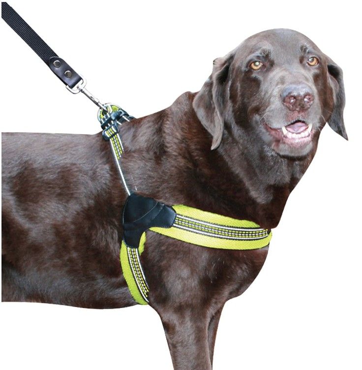Sporn Easy Fit Dog Harness Yellow - X-Large image 0