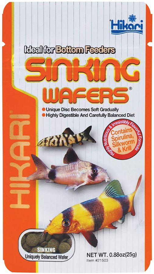 Hikari Sinking Wafers for Bottom Feeding Fish image 0