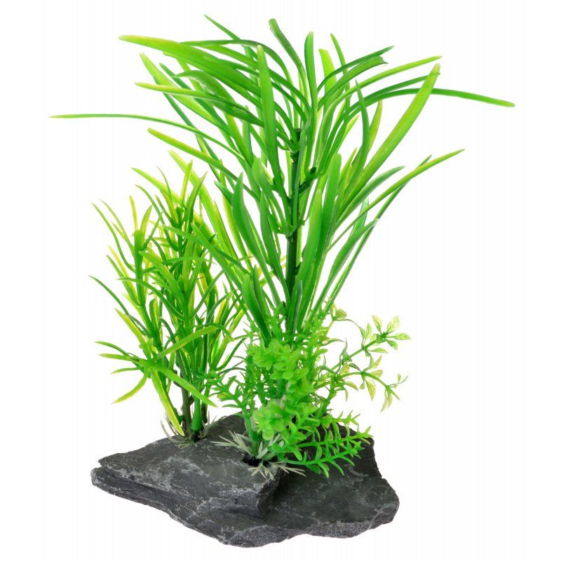 Reptology Quartz Rock Reptile Plant image 0
