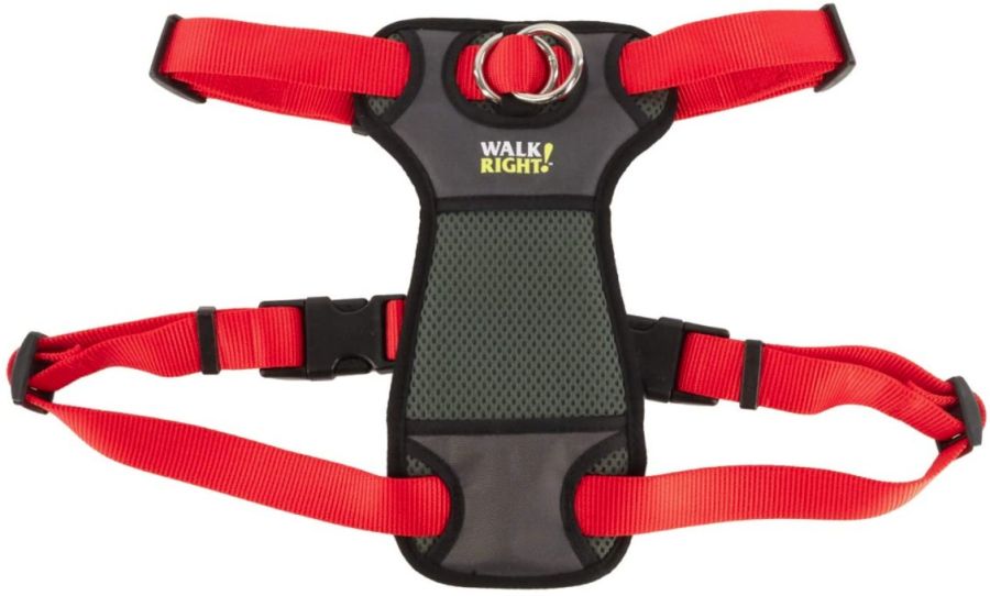 Coastal Pet Walk Right Padded Dog Harness Red image 0