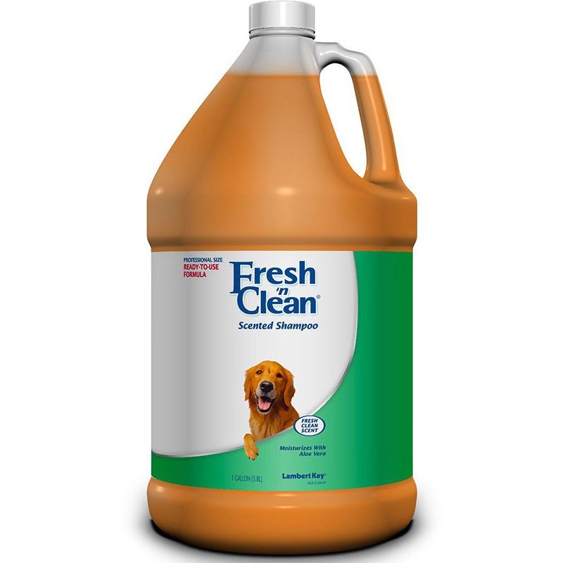 Fresh 'n Clean Scented Shampoo with Protein - Fresh Clean Scent image 0