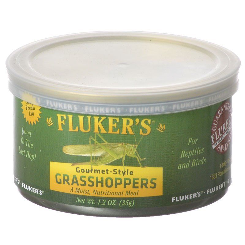 Flukers Gourmet Style Canned Grasshoppers image 0