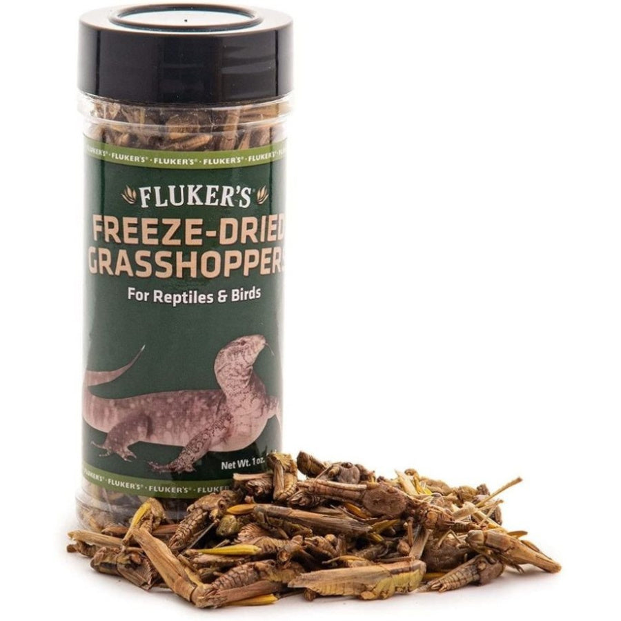Flukers Freeze-Dried Grasshoppers image 0