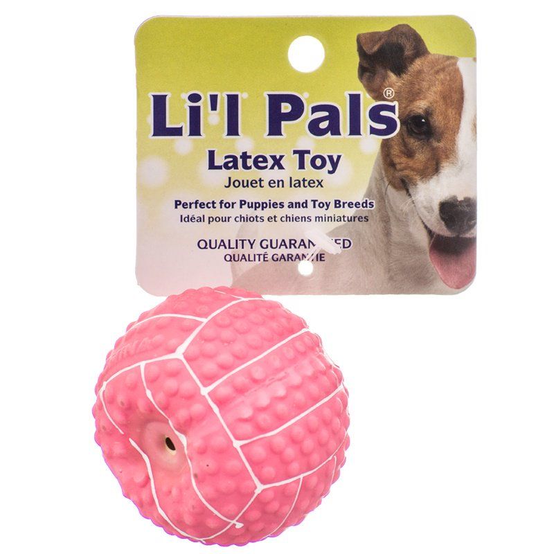 Lil Pals Latex Mini Volleyball for Dogs - Pink image 0