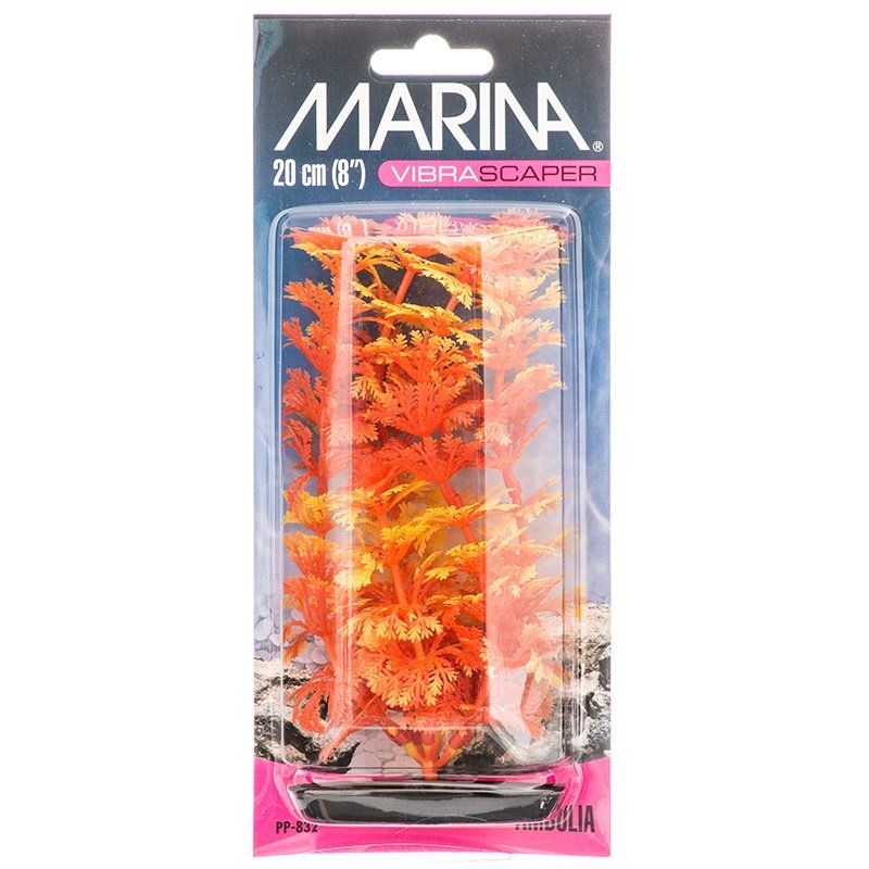 Marina Vibrascraper Ambulia Plant - Orange & Yellow image 0