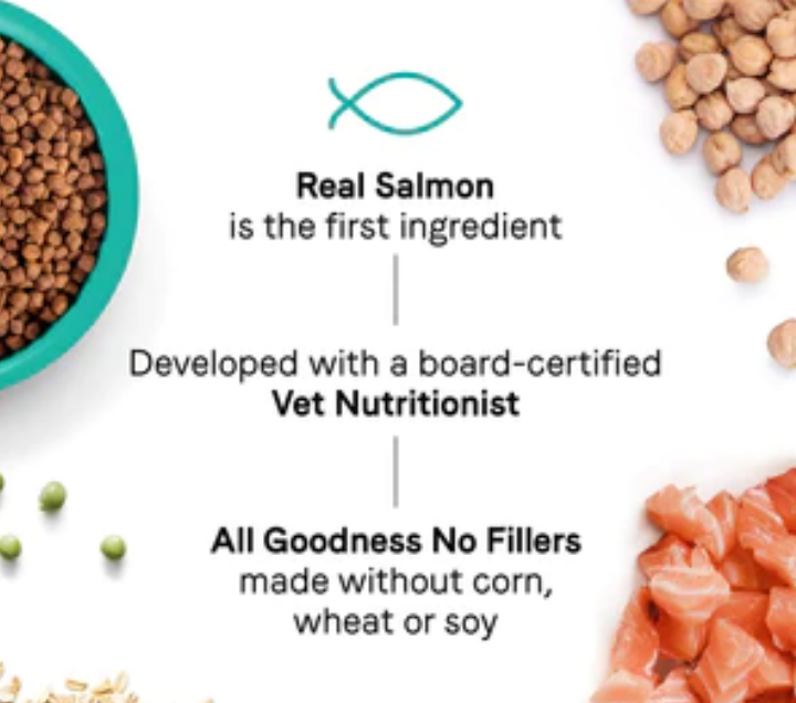 Canidae Goodness for Skin & Coat Dry Cat Food - Salmon image 2