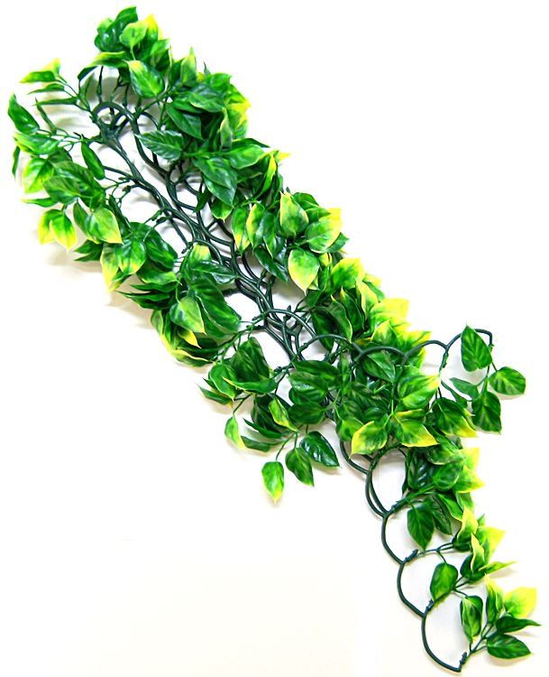 Exo-Terra Amapallo Forest Shrub image 0