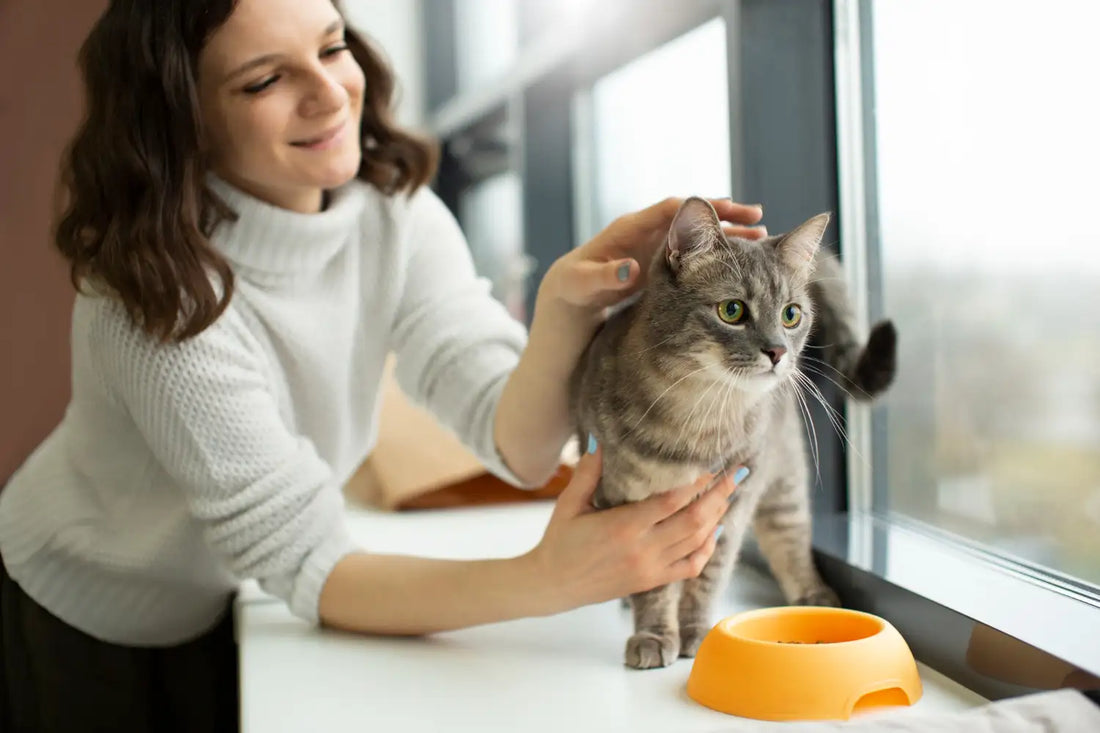 Best Cat Food for Hairball Control: Vet-Recommended Formulas