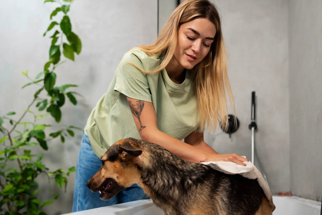Complete Dog Grooming Guide: Everything You Need to Know