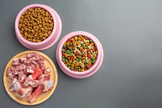 High Protein Cat Food: Benefits & Top Brands