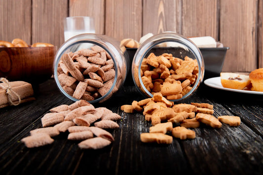 High Protein Dog Food: Why It Matters & Best Brands