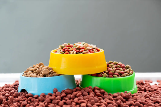 Best Dog Food for Puppies in 2026 (Vet Approved)
