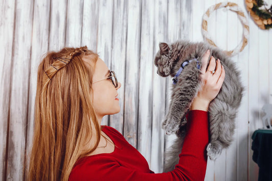Why Is My Cat Overgrooming? Causes & Solutions