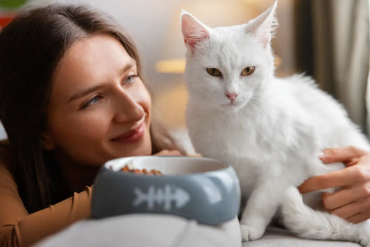 Best Wet Cat Food for Indoor Cats in 2026 - Top Picks by Vets