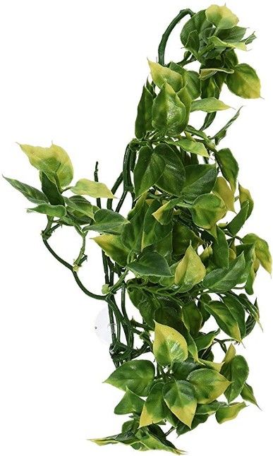 Exo-Terra Amapallo Forest Shrub image 0