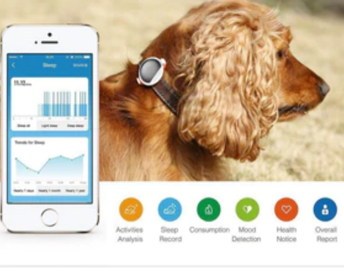 PETKIT ® 'FIT' Water-resistant Smart Activity & Mood Monitoring Activity Tracker image 4