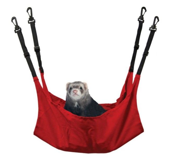 Marshall Ferret leisure Lounge Assorted Colors image 0