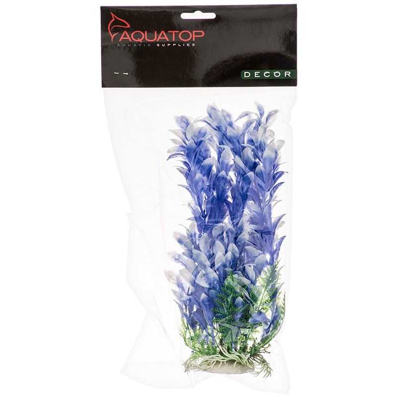 Aquatop Bacopa Aquarium Plant - Blue & White image 0