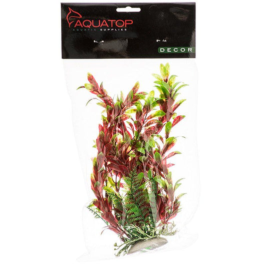 Aquatop Hygro Aquarium Plant - Red & Green image 0