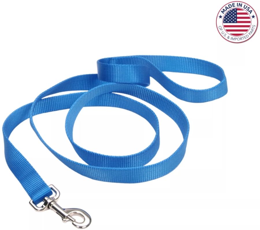 Coastal Pet Single-Ply Nylon Dog Leash Blue Lagoon image 0