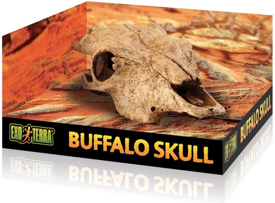 Exo Terra Terrarium Buffalo Skull Decoration image 0