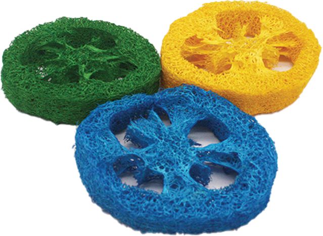AE Cage Company Nibbles Loofah Slice Chew image 0